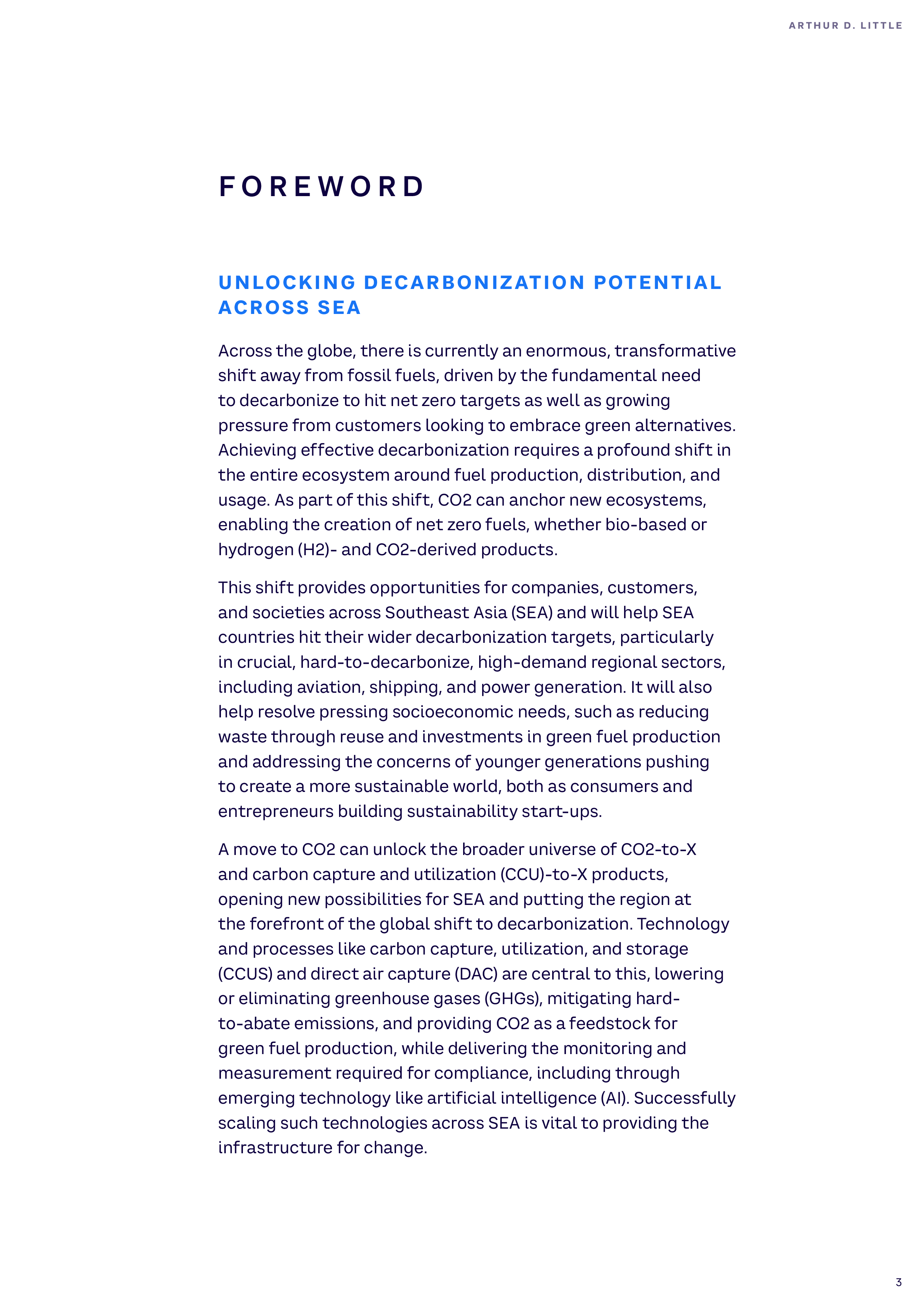 理特咨询2024东南亚脱碳研究报告-绿色燃料竞赛英文版28页